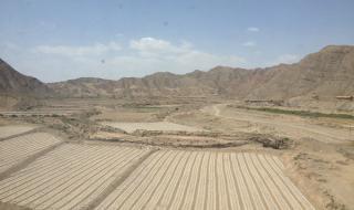 腾格里沙漠旅游攻略